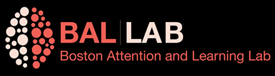 BALLAB Logo